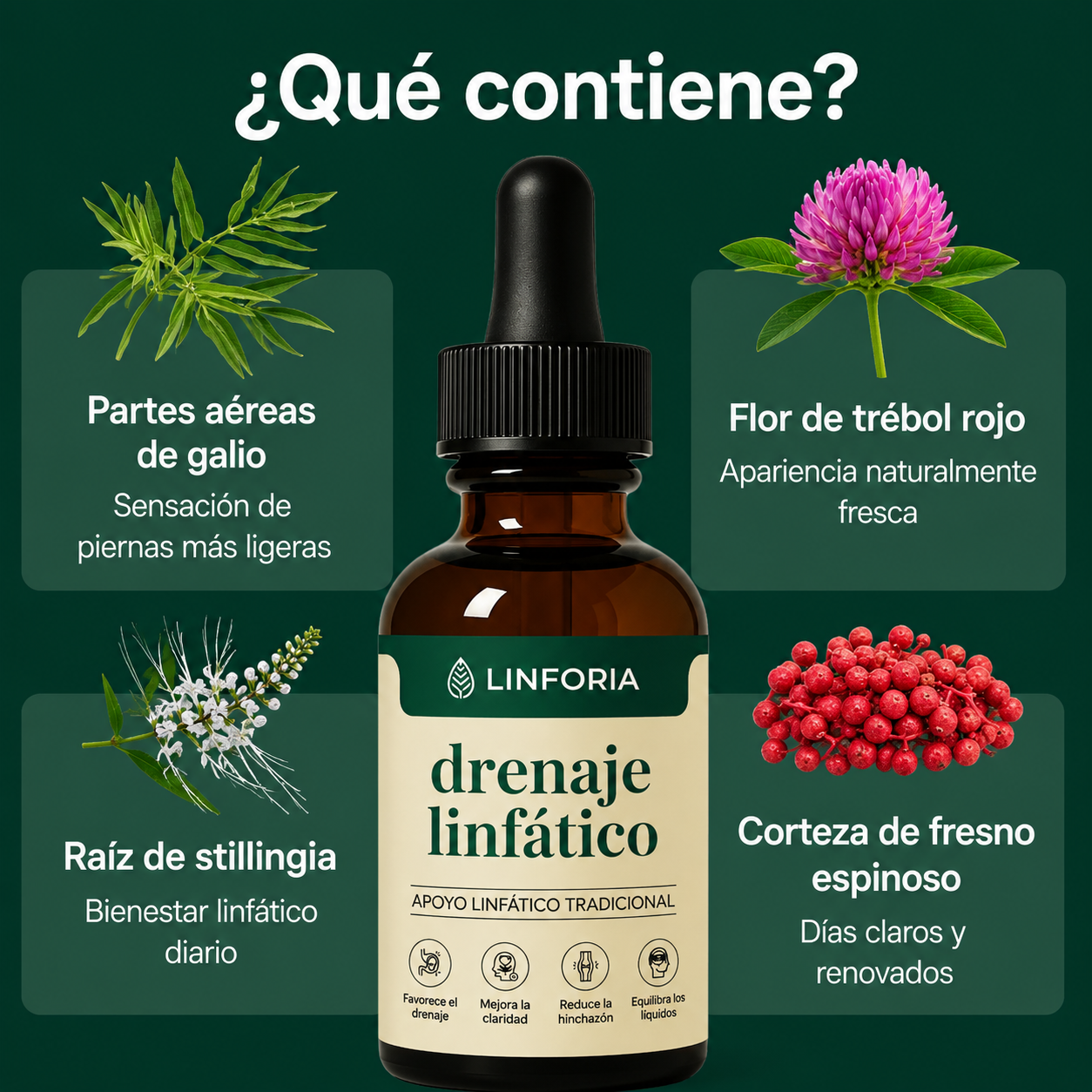 Linforia® — Gotero de Drenaje linfático